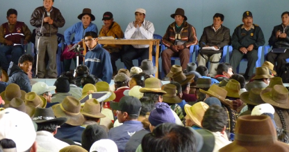 Conformación y ejecución de comités de vigilancia ciudadana 