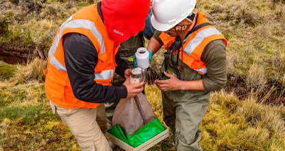 Elaboración de Instrumentos Ambientales 